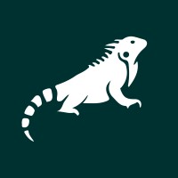 Lizard Marketing logo, Lizard Marketing contact details