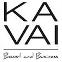 Kavai Boost and Business logo, Kavai Boost and Business contact details