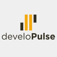 DeveloPulse logo, DeveloPulse contact details