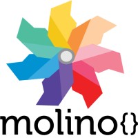 Molino Software S.A. de C.V. logo, Molino Software S.A. de C.V. contact details