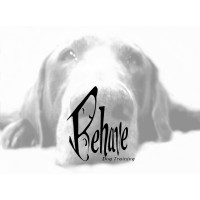 Behave Dog Training logo, Behave Dog Training contact details