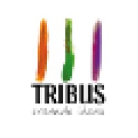 TRIBUS creando ideas logo, TRIBUS creando ideas contact details