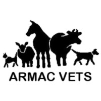 ARMAC VETS LIMITED logo, ARMAC VETS LIMITED contact details