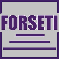 Forseti Solution Group logo, Forseti Solution Group contact details