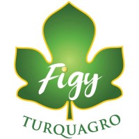 FIGY Dried Figs logo, FIGY Dried Figs contact details