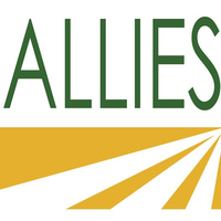 ALLIES - Alliance for Language Learners'​ Integration, Education and Success logo, ALLIES - Alliance for Language Learners'​ Integration, Education and Success contact details