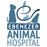 EBENEZER ANIMAL HOSPITAL, P.A logo, EBENEZER ANIMAL HOSPITAL, P.A contact details