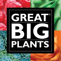 Great Big Plants, LLC logo, Great Big Plants, LLC contact details