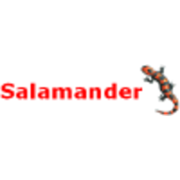 Salamander Consulting logo, Salamander Consulting contact details