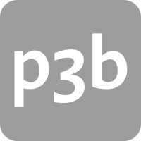 p3b ag logo, p3b ag contact details