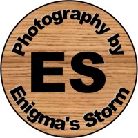 Enigma's Storm LLC logo, Enigma's Storm LLC contact details