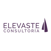 Elevaste Consultoría logo, Elevaste Consultoría contact details