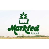 punjab markfed logo, punjab markfed contact details