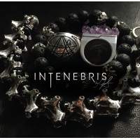 INTENEBRIS logo, INTENEBRIS contact details