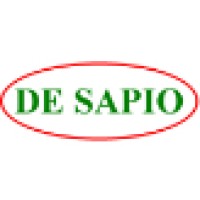 DeSapio Construction Inc. logo, DeSapio Construction Inc. contact details