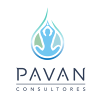 Pavan Consultores logo, Pavan Consultores contact details