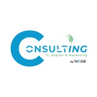 Teksial Consulting logo, Teksial Consulting contact details