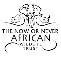 The Now or Never African Wildlife Trust logo, The Now or Never African Wildlife Trust contact details