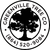 Greenville Tree Co. logo, Greenville Tree Co. contact details