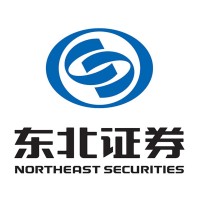 Northeast Securities Co., Ltd. logo, Northeast Securities Co., Ltd. contact details