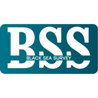 Black Sea Survey LLC logo, Black Sea Survey LLC contact details