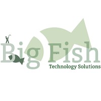 Big Fish Technology Solutions logo, Big Fish Technology Solutions contact details