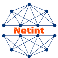 Netint logo, Netint contact details