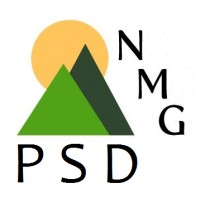 NMG Professional Services Division logo, NMG Professional Services Division contact details