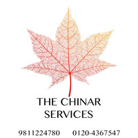 THE CHINAR SERVICES logo, THE CHINAR SERVICES contact details