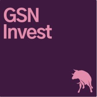 GSN Invest logo, GSN Invest contact details