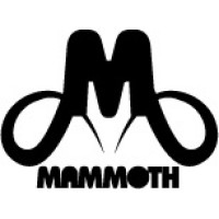 Mammoth, Inc. logo, Mammoth, Inc. contact details