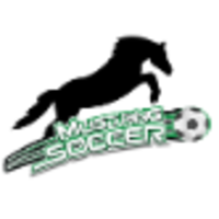 Mustang Soccer School of Excellence logo, Mustang Soccer School of Excellence contact details