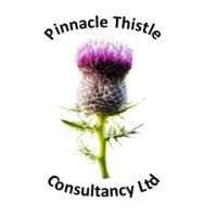 Pinnacle Thistle Consultancy Ltd logo, Pinnacle Thistle Consultancy Ltd contact details