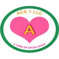 ACE 1 LLC logo, ACE 1 LLC contact details