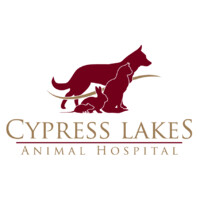 Cypress Lakes Animal Hospital logo, Cypress Lakes Animal Hospital contact details