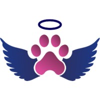 Anjo Animal logo, Anjo Animal contact details