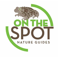 On The Spot Nature Guides logo, On The Spot Nature Guides contact details