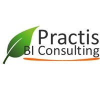 Practis BI Consulting logo, Practis BI Consulting contact details