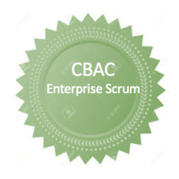 Enterprise Scrum Inc. logo, Enterprise Scrum Inc. contact details