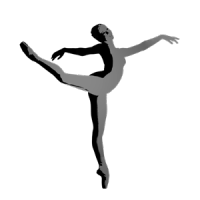 Virtual Ballet Intensive logo, Virtual Ballet Intensive contact details