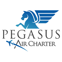 Pegasus Air Charter logo, Pegasus Air Charter contact details