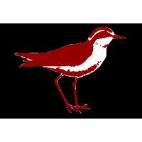 Wirebird Ltd logo, Wirebird Ltd contact details