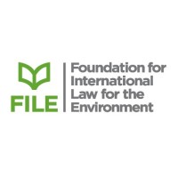 FILE Foundation logo, FILE Foundation contact details