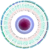 PersonAlGeneTiCs S.L. logo, PersonAlGeneTiCs S.L. contact details