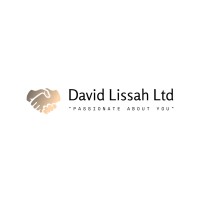 David Lissah Management Coaching logo, David Lissah Management Coaching contact details