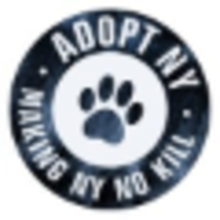 Adopt NY logo, Adopt NY contact details