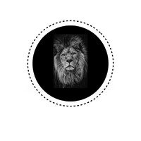 The Lion Code logo, The Lion Code contact details