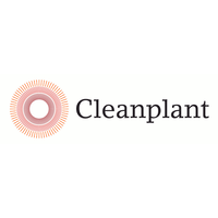 Cleanplant logo, Cleanplant contact details