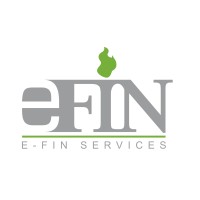 Efin Audit (Pty) Ltd logo, Efin Audit (Pty) Ltd contact details