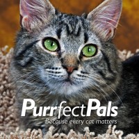 Purrfect Pals logo, Purrfect Pals contact details